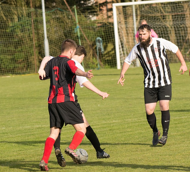 的心理素质 的心理素质