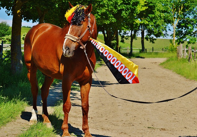 奠定基础 奠定基础