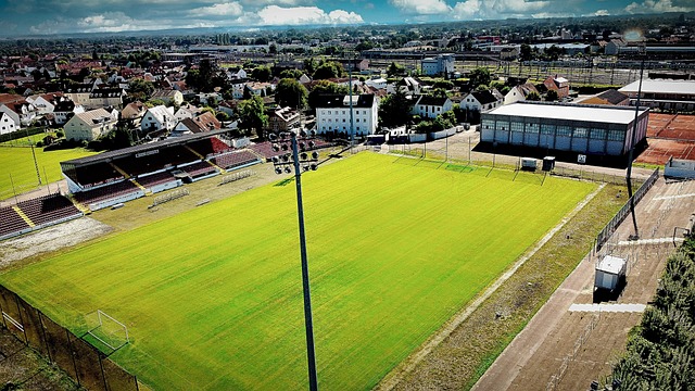 从概率上看 从概率上看