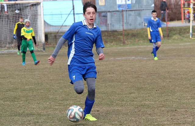 的中流砥柱 的中流砥柱